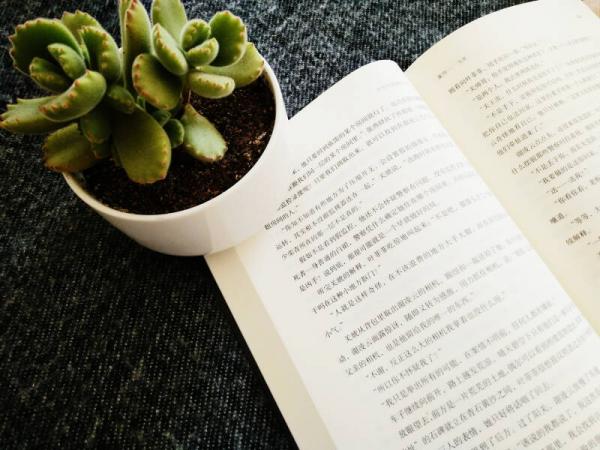 计划中的局外人