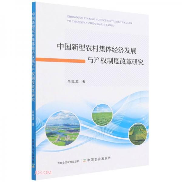 中国新型农村集体经济发展与产权制度改革研究