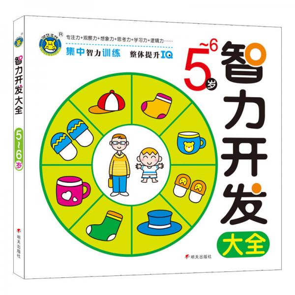 河馬文化  智力開發(fā)大全5-6歲