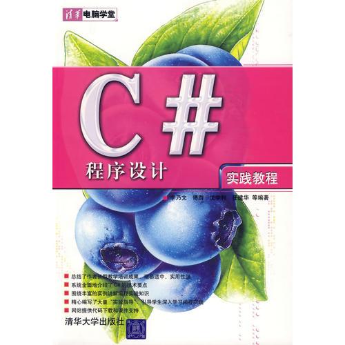 C#程序设计实践教程