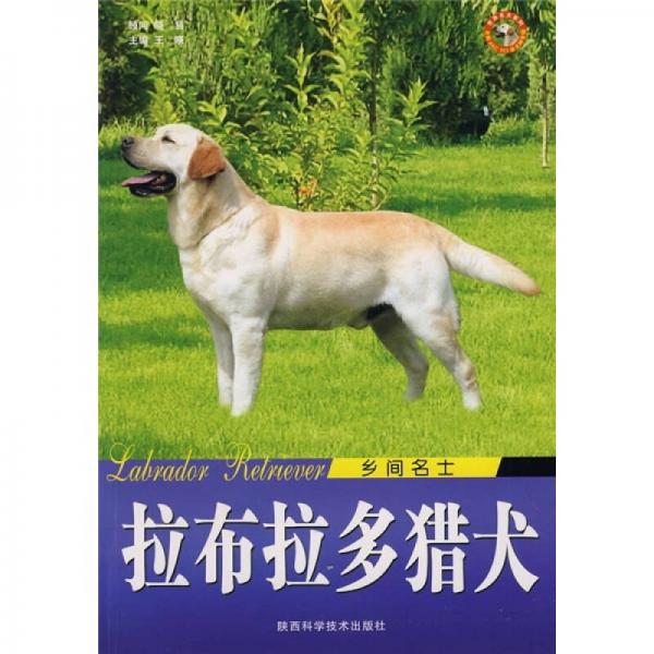 乡间名士：拉布拉多猎犬