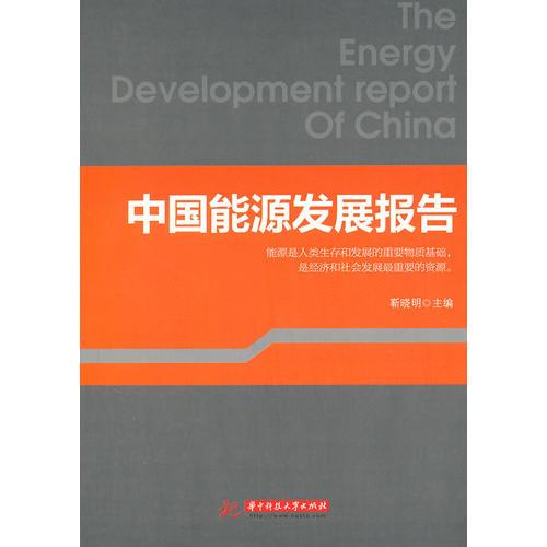 中國能源發(fā)展報告(靳曉明)