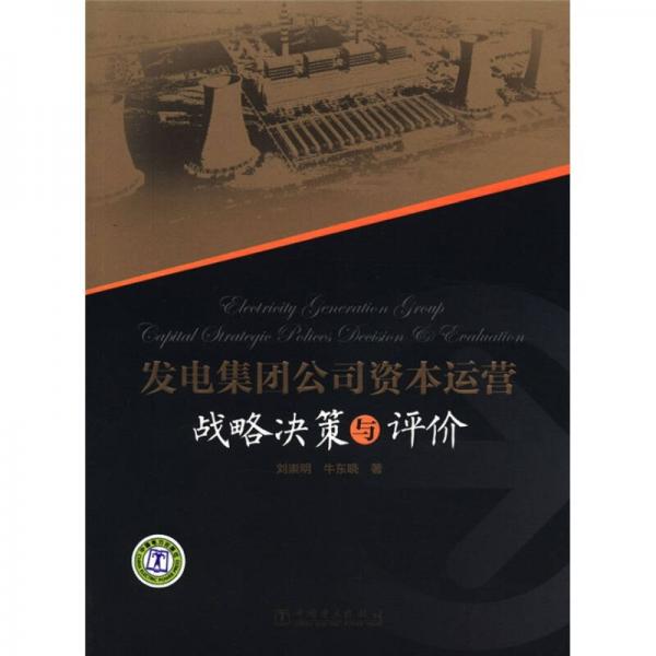發(fā)電集團公司資本運營戰(zhàn)略決策與評價