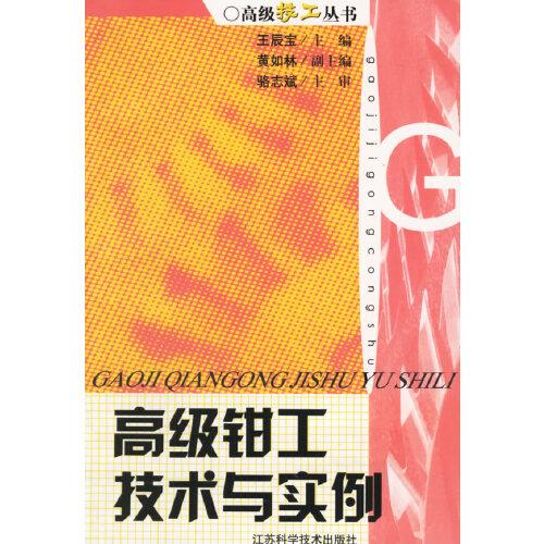 高級鉗工技術(shù)與實例