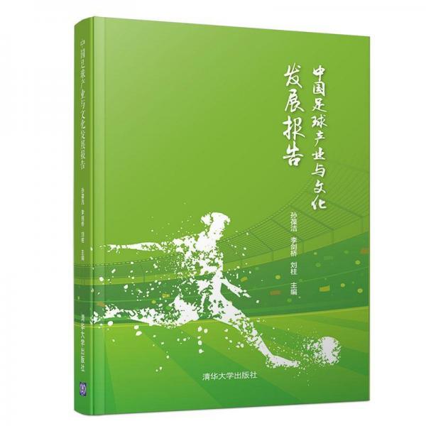 中国足球产业与文化发展报告 