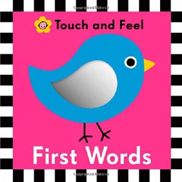 First Words Touch And Feel [Board book]