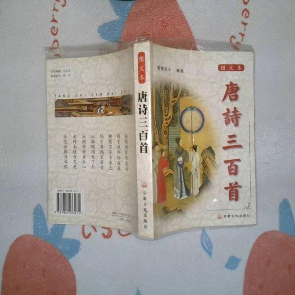 唐詩(shī)三百首:圖文本