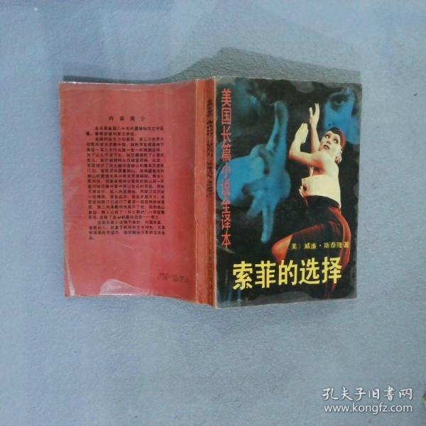 索菲的選擇:美國(guó)長(zhǎng)篇小說全譯本