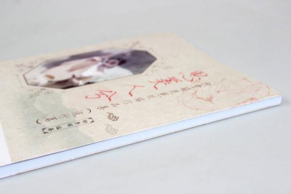 思美人兮 柳青瑶琵琶改编作品集