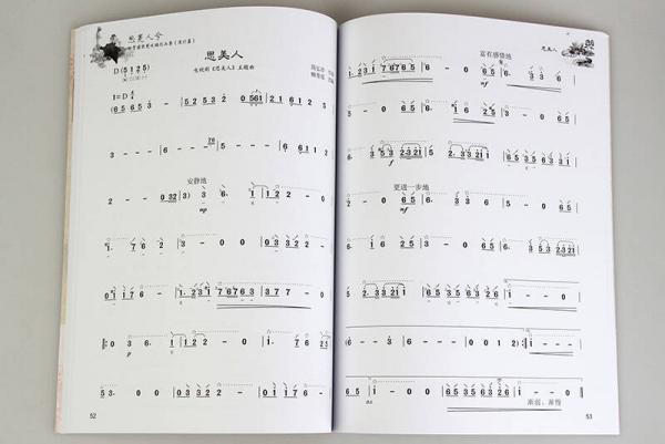 思美人兮 柳青瑶琵琶改编作品集