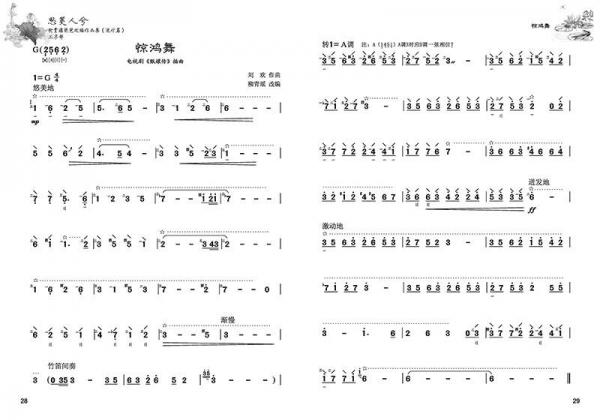 思美人兮 柳青瑶琵琶改编作品集