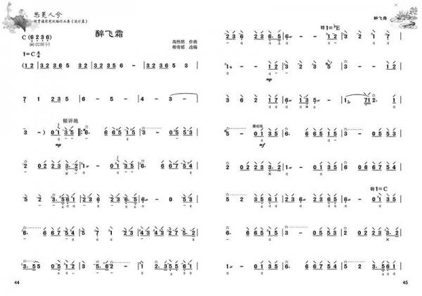 思美人兮 柳青瑶琵琶改编作品集