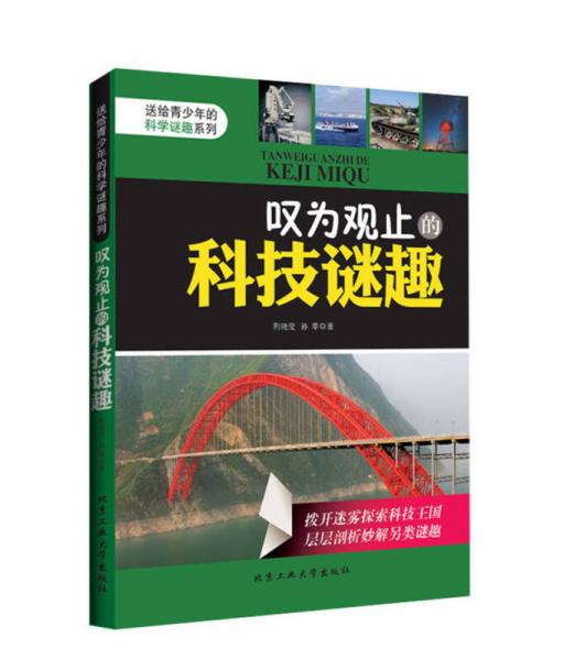 送給青少年的科學(xué)謎趣系列：嘆為觀止的科技謎趣