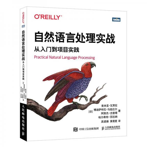 自然語言處理實戰(zhàn)：從入門到項目實踐（圖靈出品）