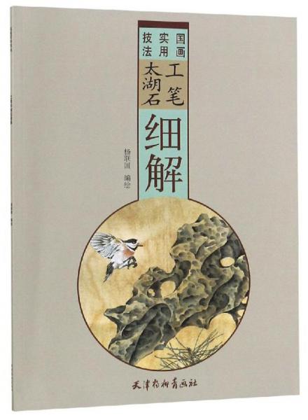 工筆太湖石細(xì)解/國(guó)畫(huà)實(shí)用技法