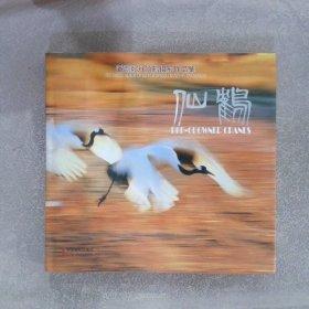 仙鶴:潘嵩毅丹頂鶴攝影作品集:the photo album of red-crowned cranes by Pan Songyi