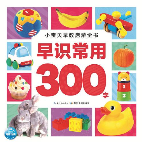 小宝贝早教启蒙全书：早识常用300字（新版）