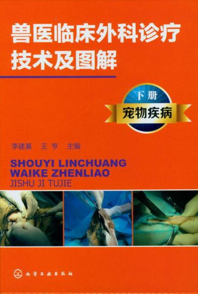 兽医临床外科诊疗技术及图解（下册）：宠物疾病