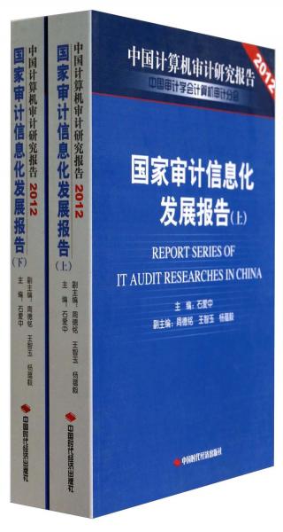 國家審計信息化發(fā)展報告
