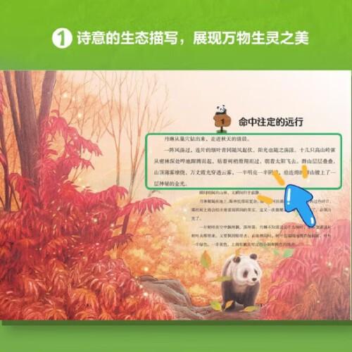 孩子你終將長大 熊貓康吉的遠(yuǎn)行精裝珍藏版青少年勵(lì)志讀物兒童成長幫助書籍小學(xué)生一二三四五六年級(jí)課外閱讀