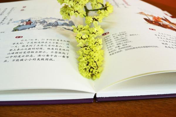 千家诗-洋洋兔童书