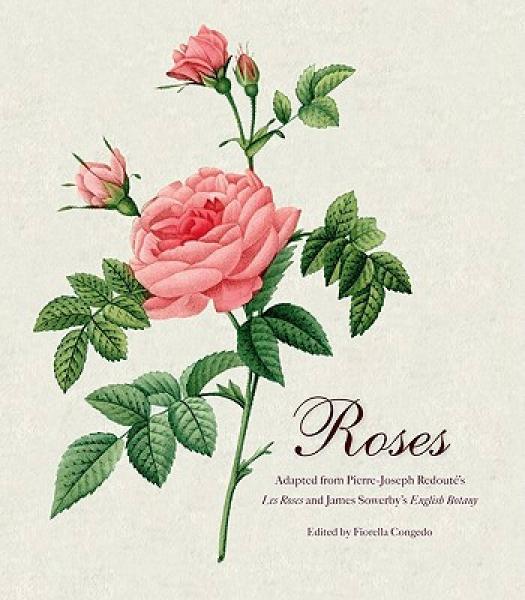 Roses[玫瑰]