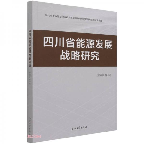 四川省能源發(fā)展戰(zhàn)略研究