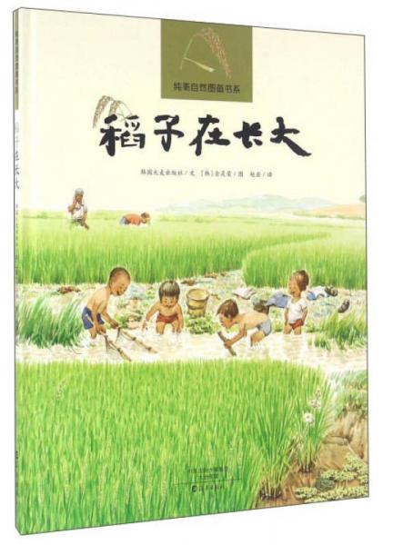稻子在長(zhǎng)大