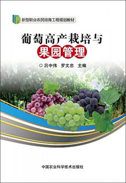 葡萄高產(chǎn)栽培與果園管理