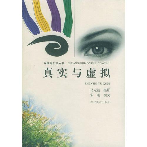真實(shí)與虛擬--雙視角藝術(shù)叢書