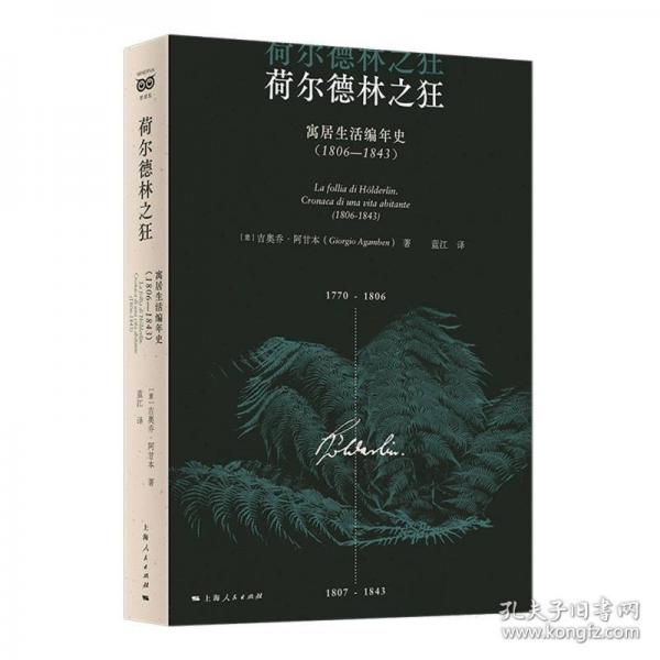荷爾德林之狂