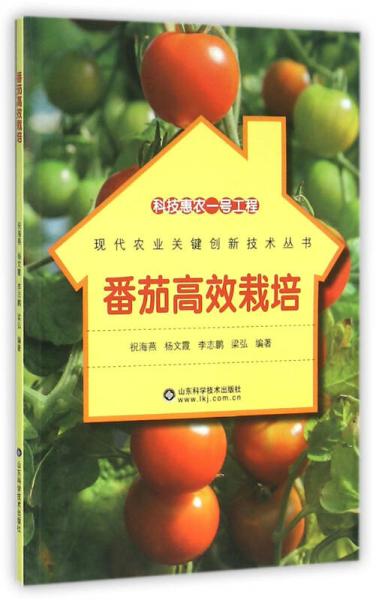 科技惠农一号工程：番茄高效栽培