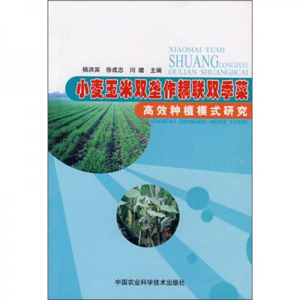 小麦玉米双垄作耦联双季菜：高效种植模式研究