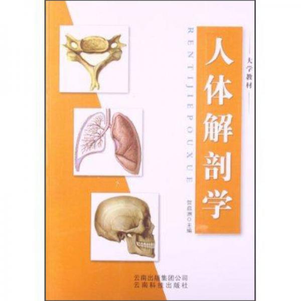 人体解剖学/大学教材