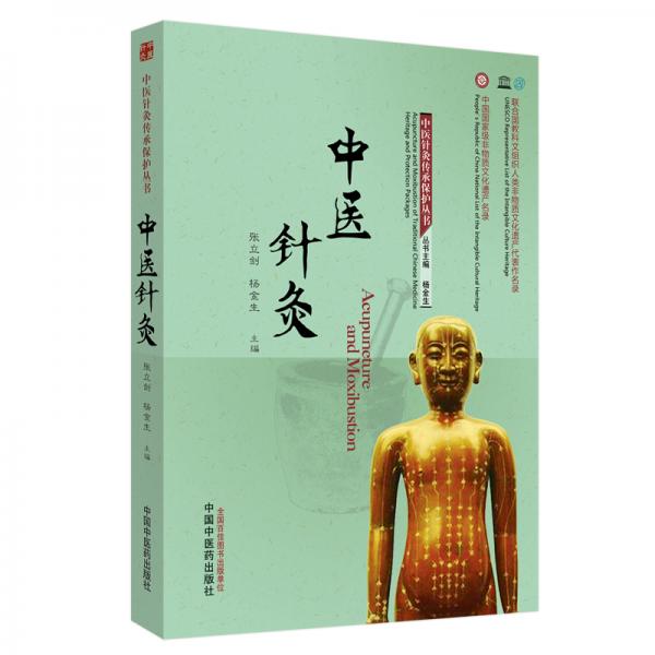 中醫(yī)針灸·中醫(yī)針灸傳承保護(hù)叢書