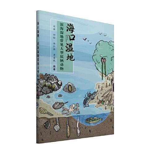 ?？跐竦?濱海濕地常見(jiàn)大型底棲動(dòng)物