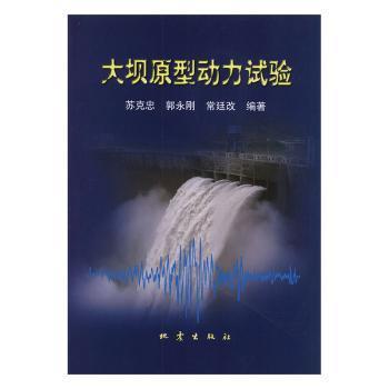 大壩原型動力試驗