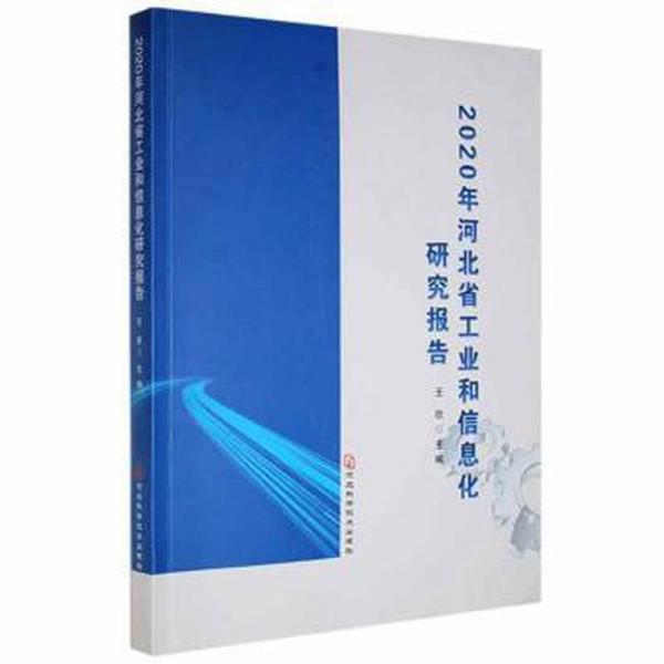 2020年河北省和信息化研究报告 财政金融 王欣主编 新华正版