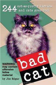 Bad Cat