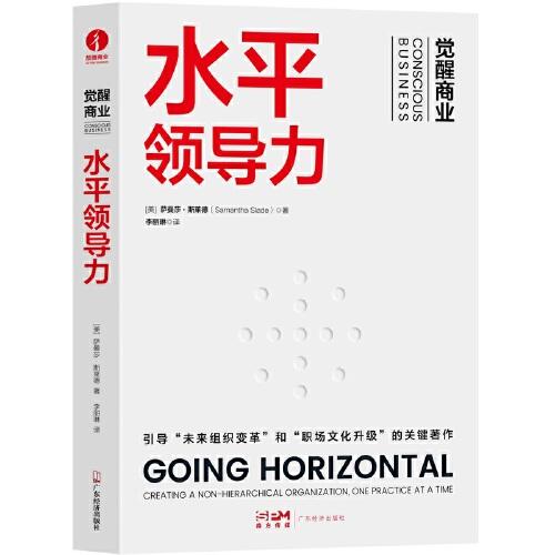 水平領(lǐng)導(dǎo)力