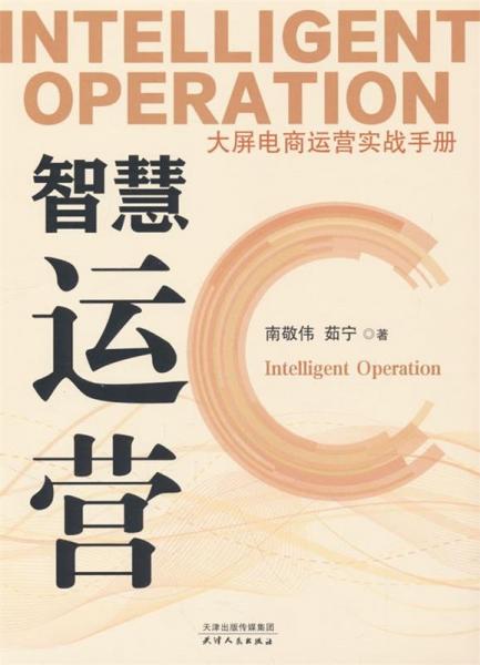 智慧運營:大屏電商運營實戰(zhàn)手冊