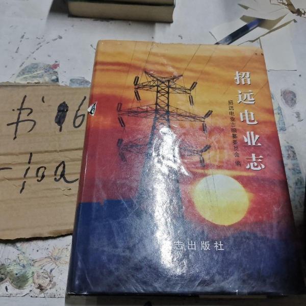 招遠電業(yè)志