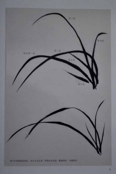 名家画水墨兰花