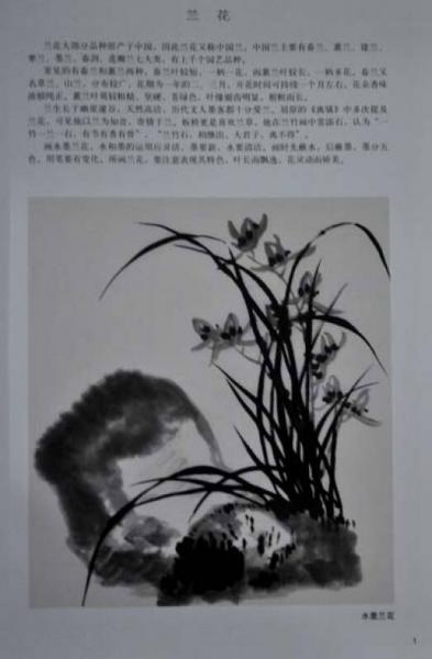 名家画水墨兰花