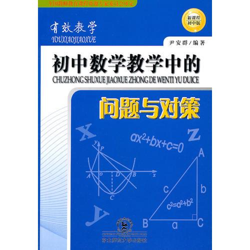 有效教學(xué)：初中數(shù)學(xué)教學(xué)中的問題與對(duì)策（新課程初中版）