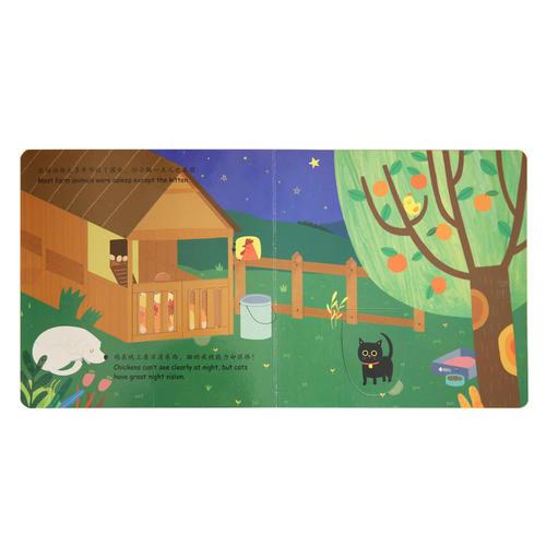 邦臣小红花·小小世界游戏书.你好.夜晚