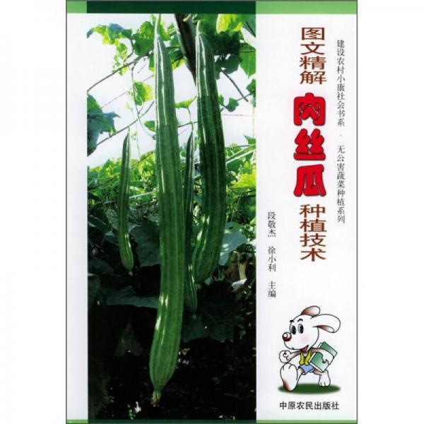 圖文精解肉絲瓜種植技術