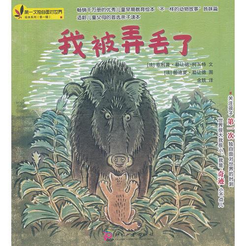 我被弄丢了