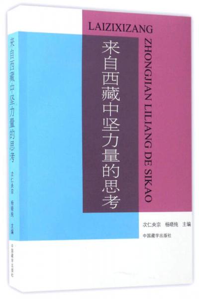 來自西藏中堅(jiān)力量的思考