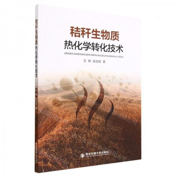秸稈生物質(zhì)熱化學(xué)轉(zhuǎn)化技術(shù)